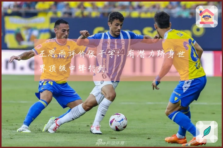 王思雨评价张子宇：有潜力跻身世界顶级中锋行列