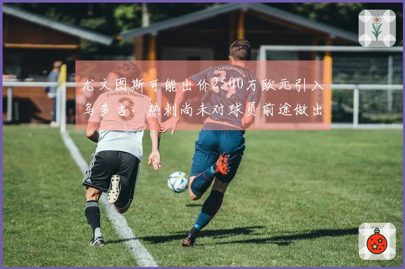 尤文图斯可能出价2500万欧元引入乌多吉，热刺尚未对球员前途做出最终决定