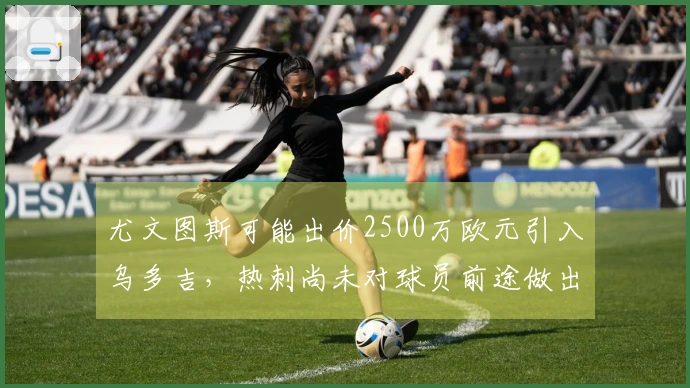 尤文图斯可能出价2500万欧元引入乌多吉，热刺尚未对球员前途做出最终决定