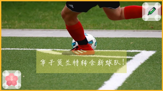 华子莫兰特转会新球队！